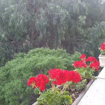 Gianni Апартаменты *